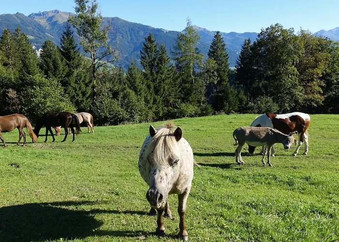 別荘 Rossweid Huette