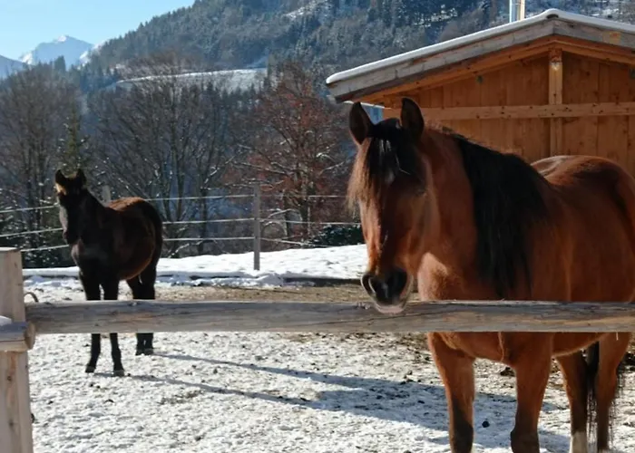 Rossweid Huette Prázdninový dům Stans