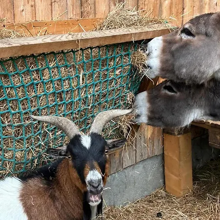 Rossweid Huette Holiday home *