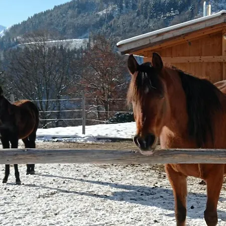 Holiday home Rossweid Huette