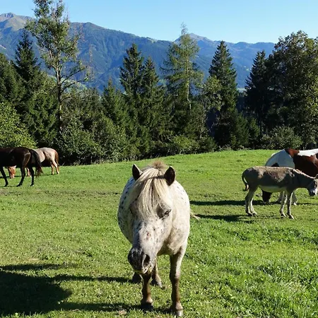 Holiday home Rossweid Huette