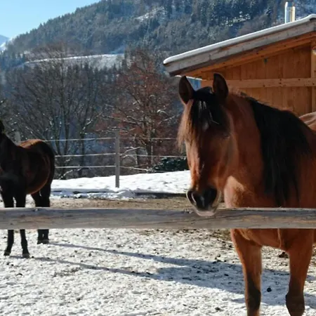 Rossweid Huette Holiday home Stans