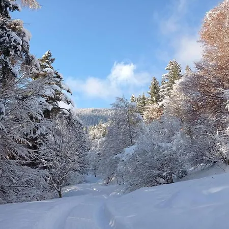 Rossweid Huette * Stans