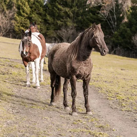 Rossweid Huette * Stans