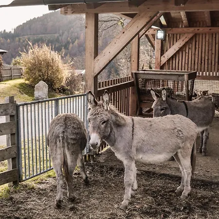 Rossweid Huette Holiday home