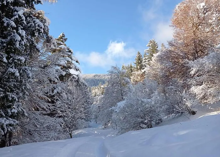 Rossweid Huette * ستانس