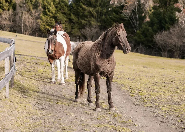 Rossweid Huette * ستانس