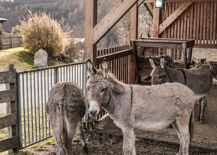 Rossweid Huette بيت للعطل